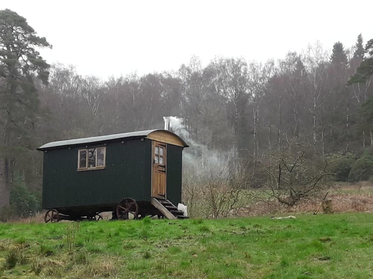 Cosy Woodland Off Grid Shepherds Hut - Rowan Villa Castle Douglas Exterior photo