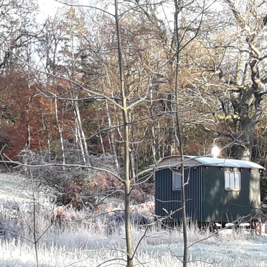 Cosy Woodland Off Grid Shepherds Hut - Rowan Villa Castle Douglas Exterior photo