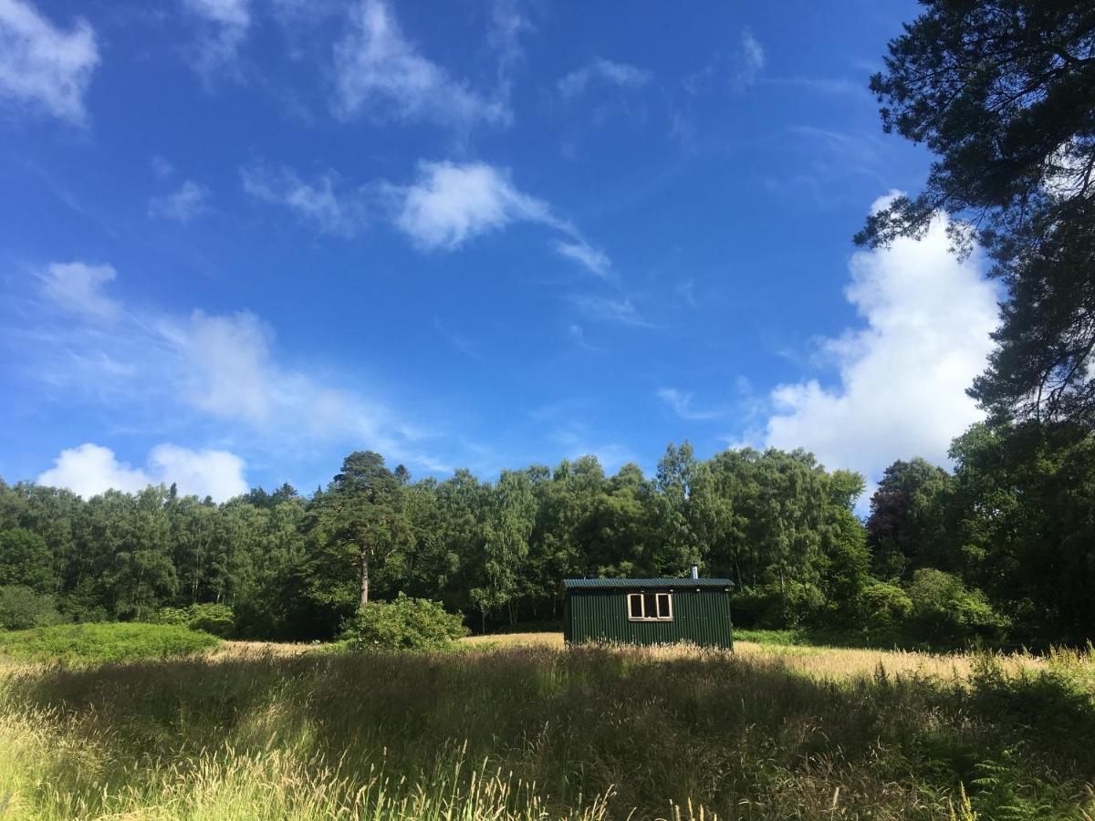 Cosy Woodland Off Grid Shepherds Hut - Rowan Villa Castle Douglas Exterior photo